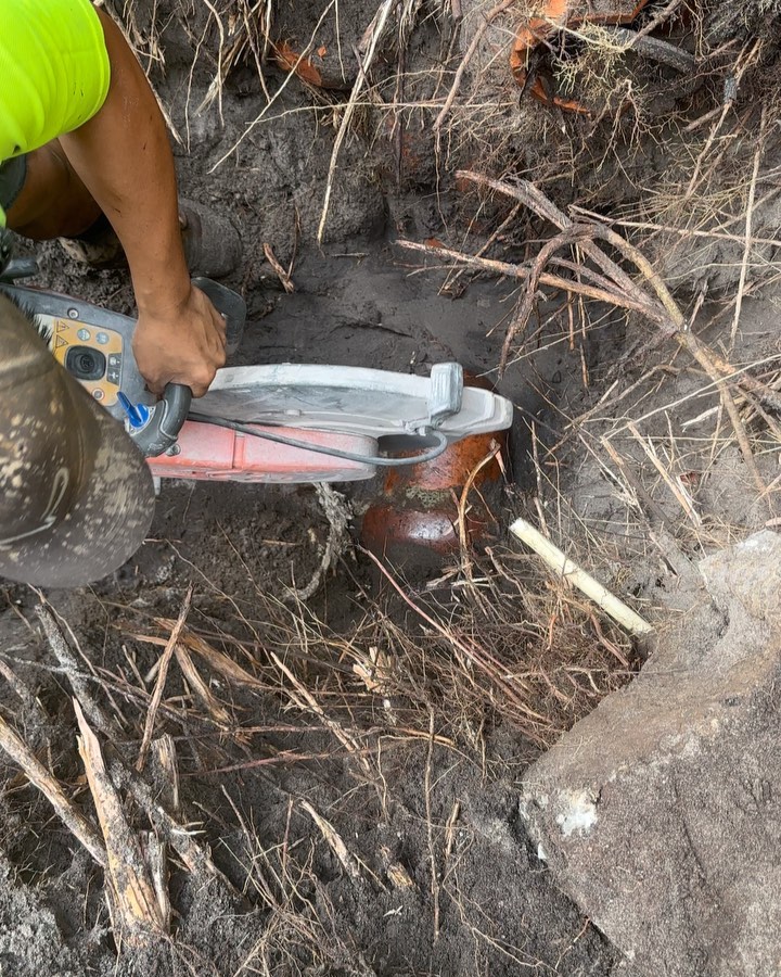 Not something you see everyday !