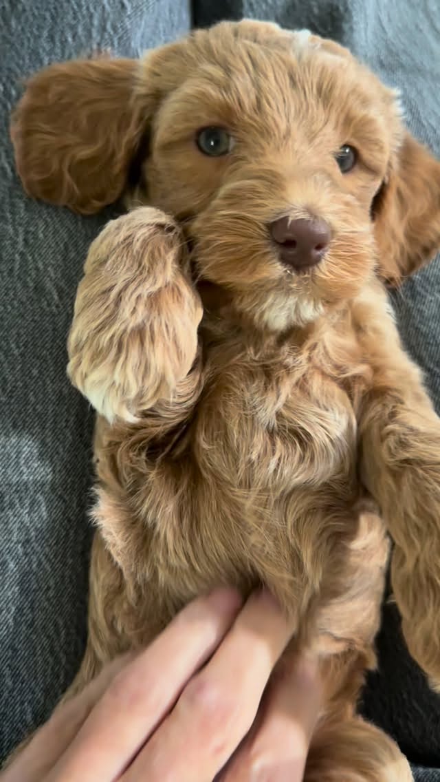 Wink wink happy Wednesday ๐