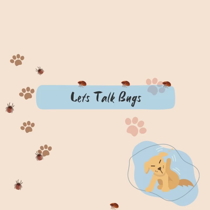 Now that we are officially moments away from spooky season let’s debunk some super scary bug propaganda 🪳