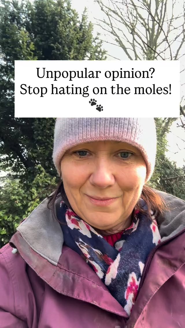 While they might mess up your āperfectā lawn, those tiny excavators are actually your gardenās best secret weapon. Hereās why you should embrace the mounds:
š¾Free Premium Topsoil: Moles dig deep, pushing up fine, aerated soil thatās been tucked away from weeds and pathogens.
š¾The Ultimate Compost Hack: Letās be honest, some peat-free composts can be a bit... crap. Mixing in that fresh molehill soil adds essential minerals, holds moisture and improves the texture instantly.
š¾Natural Aeration: Theyāre doing the heavy lifting for your drainage so you donāt have to.
Next time you see a mole hill, please donāt grab the trap, grab a trowel and a bucket. Your plants will thank you! š± Are you a mole lover, or a mole hater? Let me know in the comments ā¬ļø
#SustainableGardening #GardenHacks #OrganicGardening #SoilHealth