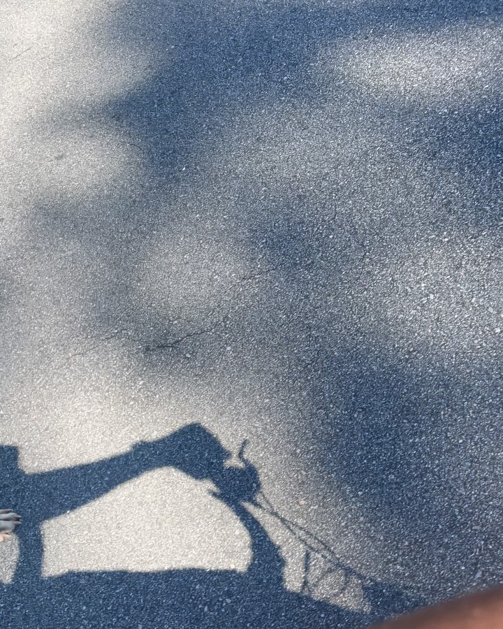 Both dogs properly worked and conditioned all before noon 🫡
#kingscourtkennel👑 #workingdog #fitdogsofinstagram #bikejoring #presacanario #presa #presalovers