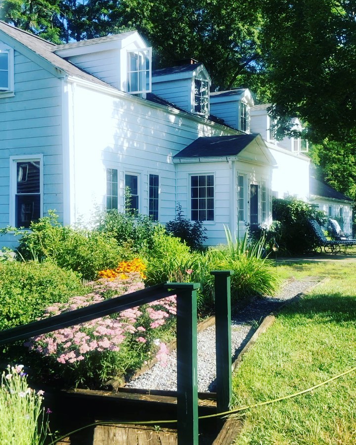 🏡Home ((( O ))). It is such a gift to root and then to slowly be in apprenticeship to the land, to the house, to the perennial gardens, to the birdsong and seasons the turn of the year. We (my husband Dal and I) live in an 18th century farm house in Upstate NY on a land rich with old growth wood, moss and fern gardens and swimming ponds. We have been fortunate to host many people here, and indeed the property has several houses on it and we have a small community of dear friends which is an incredible boon, gift and joy. Like many of us, I had tended this dream of community on land and when it came it was a natural flowering and rooting quite organic. There is a deep listening to the land, she beckons you into prayer and celebration. At peak summer in these day there are constant choruses of birds and the hum of bees. And yes again the continual apprenticeship and the remembering that we too are here for a relatively short time. Trees that live hundreds of years will watch us come and go, as well the crystal stone rocks that mark the path. Deepening in gratitude, it is rare a beautiful boon to celebrate such beauty to reflect back the wisdom of Mother Earth in her many forms. #home #upstateNy #MotherEarth #farmhouselife #summergarden #enchantedforest #enchantedgarden #Rhinebeck #RhineValleyFarm #upstateofmind #HudsonValley #Gratitude #landoffering #gaialove #gaiacodex #farmlife #farmhousestyle #farmhouseinspired