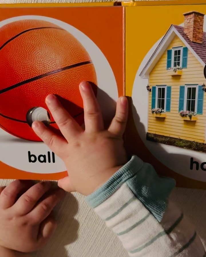 When working on increasing vocabulary, I love books with one big picture per page & tactile components to keep it fun and engaging but not too visually busy. Scroll to the end for the book titles! 📚