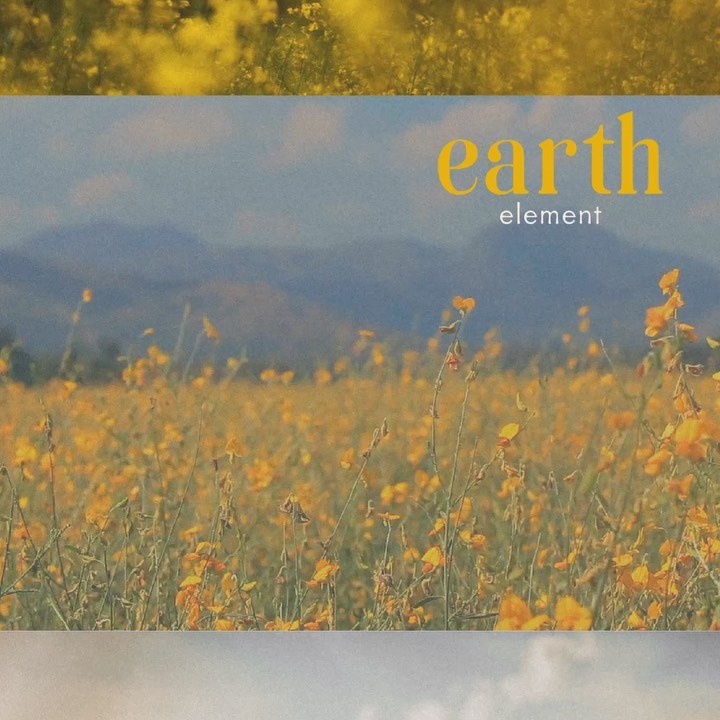 As we step into late summer, let's explore the grounding energy of the Earth element in Traditional Chinese Medicine.
The Earth element represents the late summer season.
This tranquil pause is a prelude to the vibrant tapestry of autumn, a moment where the earth holds its breath before the grand transition of seasons unfolds.
Earth represents stability, nourishment, and grounding energy, just like the fertile soil that supports and nurtures life.
It's the motherly element that keeps us in harmony and interconnectedness.
When this element is in balanced, it fosters a deep connection with both our physical bodies and the world around us.
However, when there is an imbalance, individuals might experience digestive issues, excessive worry (think, over motherly worry), exhibit less sympathy, or an inability to adapt to change.
This element's home lies in the Spleen (Yin) and Stomach (Yang) organs, which play a pivotal role in the alchemy of digestion.
In harmonious balance, these organs efficiently transform food into vital nourishment, supplying our bodies and blood with the sustenance needed for optimal health and vitality.
Interested in learning more?
Check out our latest blog post on the Earth element of the Five Element Theory of Traditional Chinese Medicine. Link in bio!
This post will share resources on how to nourish the Earth element with your daily practices, nutrition, and acupuncture treatments.
#TCM #EarthElement #FiveElementTheory