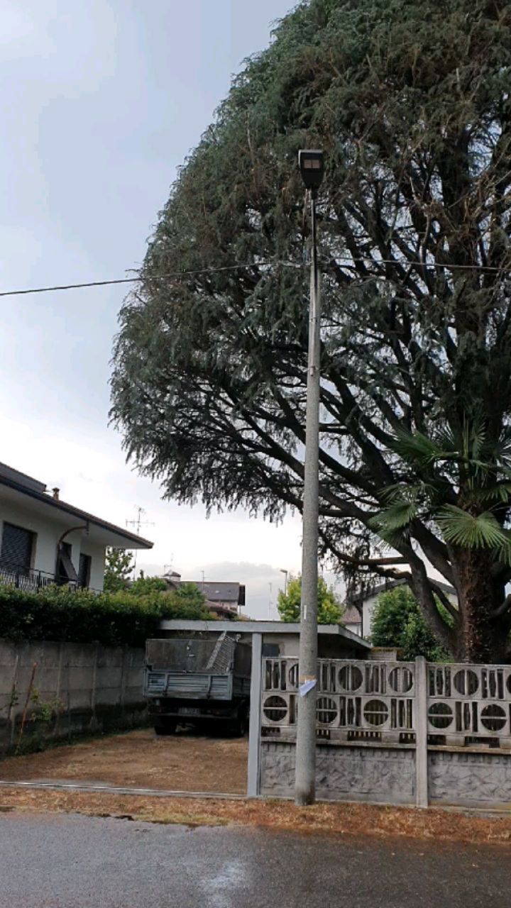 Potature in tree climbing
.
.
.
.
.
.
.
.
.
.
#treesurgeon #treclimbing #giardinaggio #giardino #natura #garden #piante #green #fiori #verde #nature #gardening #potatura #italy #giardiniere #giardinodicasa #italia #love #flowers #giardinaggiochepassione #plants #polliceverde #potature #foglie #sempreverde #giardini