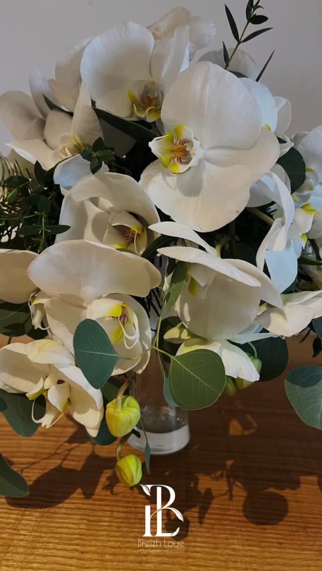 Un mariage en hiver ❄️ pour Isa & Michel qui ont célébré leur Amour le 23 Janvier 2026.
Vaisselle, Mobilier, Fleurs & Décoration.
#breizhloue #locationvaisselle #locationmobilier