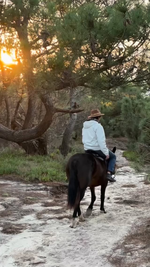 Discover the joy of horseback riding with Lits Horses – unforgettable trails, stunning views, and moments you’ll cherish forever!
#litshorses #praiadomeco #lisbonadventures #beachride #horseridingportugal #passeioacavalo