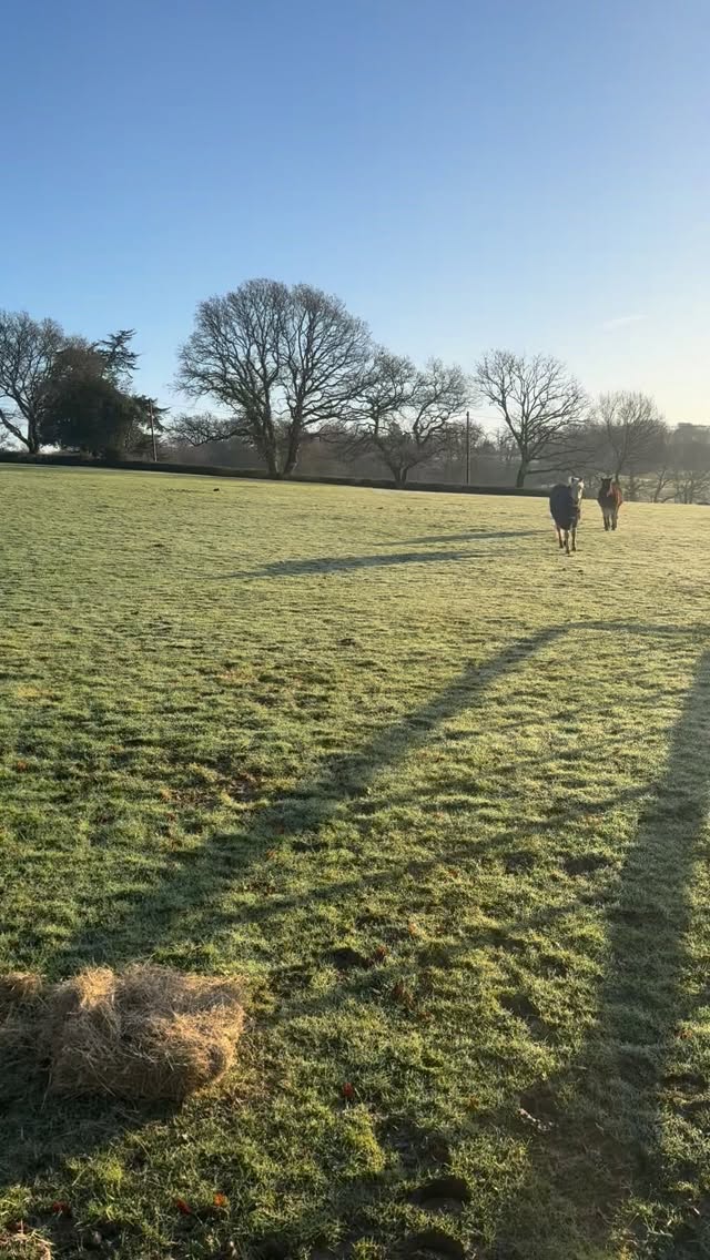 Morning hay, blue skies and bird song! The best way to start the day.
#bluesky #newforestnationalpark #beautifulmorning #equestrianlife #outdoorgirl