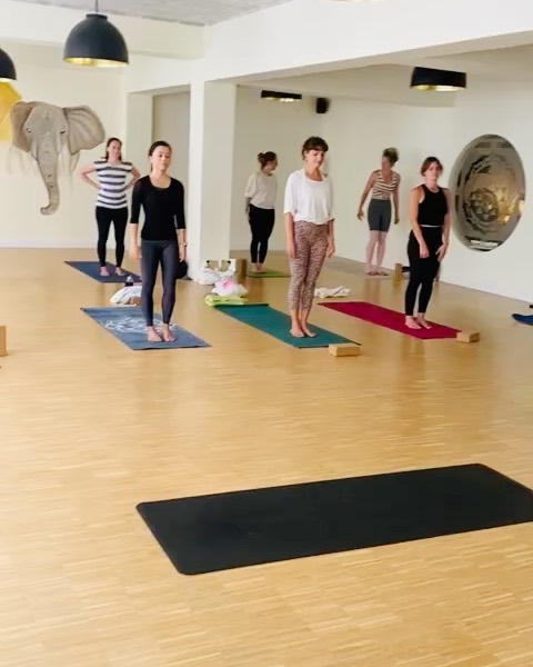 Vinyasa Yoga Flow mit Magda (die Ansagen sind… Genau hinhören😂😜)… Ein kleiner Ausschnitt aus der Sequenz am Tag der offenen Tür. Diese Form von Vinyasa Yoga ist sehr Shakti lastig💃🏼 Weiche, fließende Bewegungen mit dem Atem verbunden… voller Kreativität und Intuition… Lass dich inspirieren von unseren Stunden… Fühl dich frei probier es aus schau wie du dich danach fühlst☘️💃🏼🔥
Regeln haben wir genug im Leben… Spüre deine körperliche Freiheit☘️ hier gibt es keine Perfektion hier geht es um fühlen und losassen💫🙏
#bochumvinyasa #vinyasayoga #vinyasaflowyoga #yogainbochum #bochumcity #ashtangavinyasa #vinyasasequence #yogadance #bhakti #hathaflow
@yogamitmj
@miluzlila_