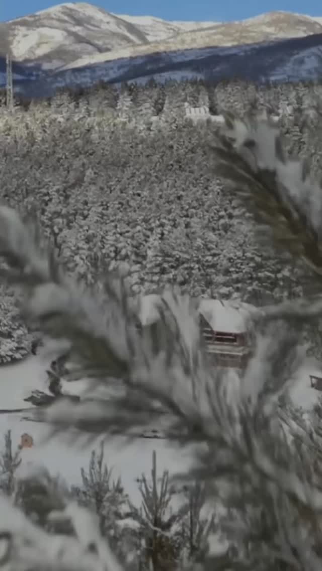 ¿Quieres saber si hay nieve en el Albergue Valle del Sol? ❄️ Entra en nuestra web www.sprintem.com y descúbrelo!!! Un entorno maravilloso y la mejor comida tradicional en nuestro restaurante. Os esperamos!!!
#sprintem #alberguevalledelsol #burgos #nieve