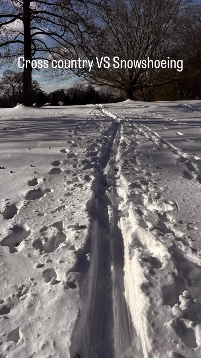 Cross country skier having feelings about the snowshoers or visa versa?
This feels symbolic to life in many ways.
What’s your feelings?
#lesbianrelationships #rrmentors #relationshiprevolutionmentoring #embodiedrelationships #somaticcoaching