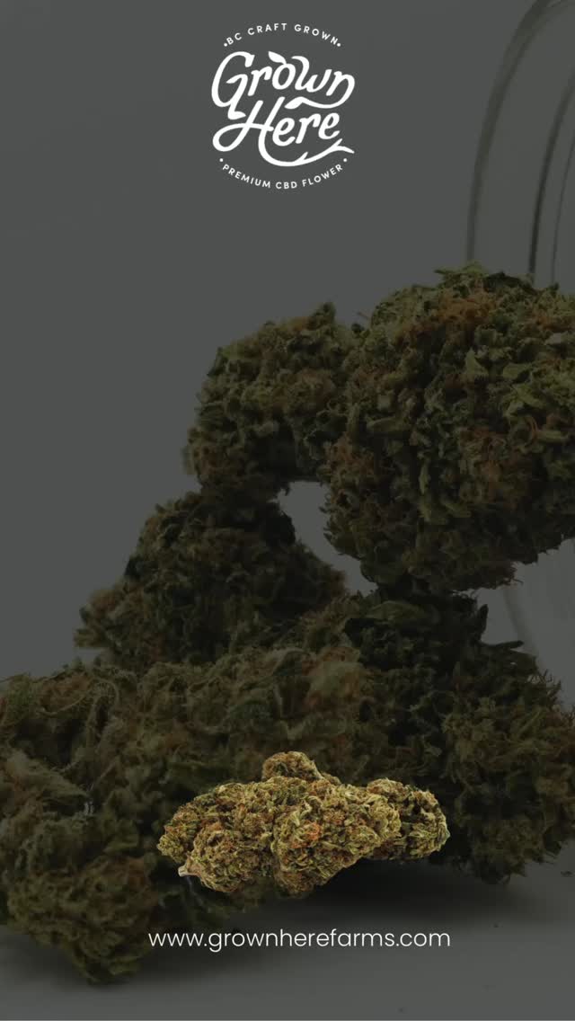 As we start 2026, we want to share more about how we grow, the intention behind our products, the care that goes into our cultivation. #organiccbd #regenerativefarming #bestcbdflowerincanada