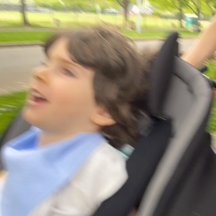 This guy knows how to have a good time! Benny is always my sunshine, today we got sunshine outside too. Thank you for all the joy beautiful boy.
#saveBennyandJosh
#curecanavanfund