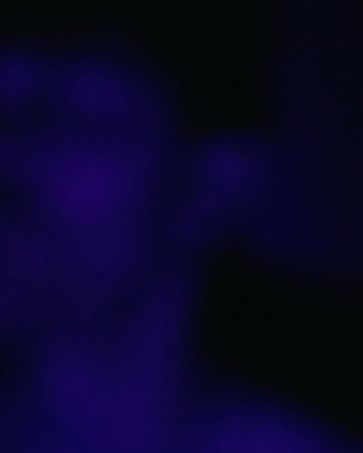 like we used to @tropicgoldmusic out today!! Mixed by me // Mastered by the 🐐 @johnkeithdavis1 - So proud of this one, go check it x