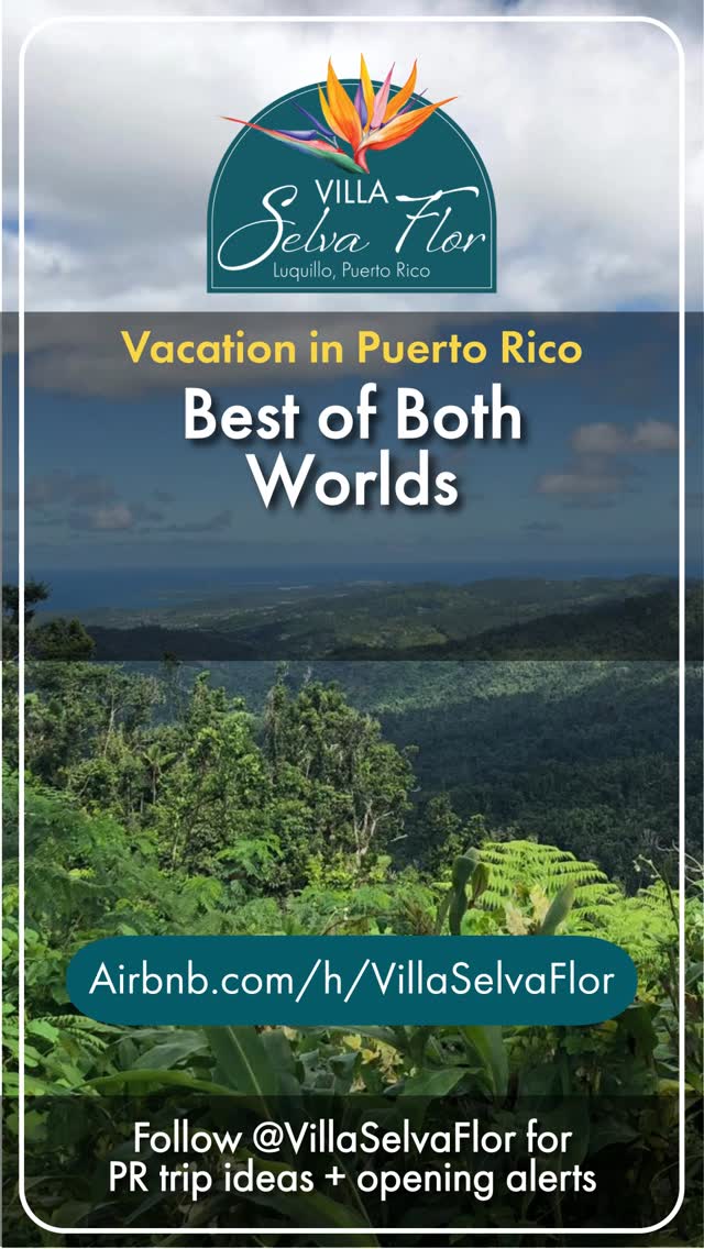 Rainforest mornings. Beach afternoons.
Villa Selva Flor gives you the best of both worlds—lush jungle views, nearby beaches, and a space that feels calm the moment you arrive.
📍 Luquillo, Puerto Rico | Guest Favorite on Airbnb 🏆
Plan your escape → airbnb.com/h/villaselvaflor
#PuertoRico #PuertoRicoTravel #IslandEscape #RainforestRetreat #BeachAndJungle #WarmWeatherVibes #VillaSelvaFlor