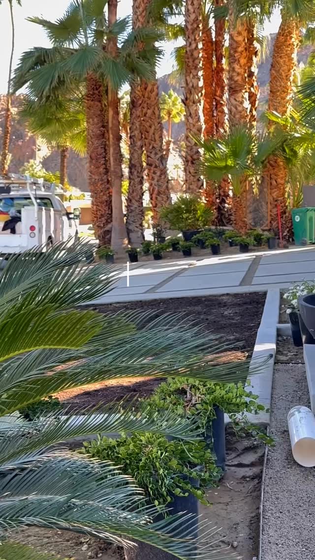 Before & after ✨
#landscaping #beforeandafter #landscapingdesign #landscapingideas #explorepage✨