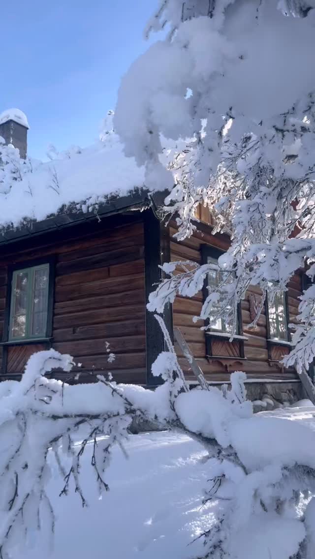 🌲🌲🌲
Vinteridyll på fjellet ~•
.
Ål i Hallingdal har tatt oss varmt imot - for et vakkert sted! 🌲🌲
.
En riktig god helg ønskes herfra! ♥️
.
#hyttetur #ålihallingdal #godhelg #fjellro #vintervakkert