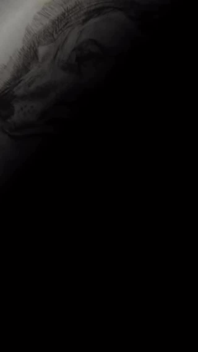 Off to Poole this week, I wonder what the team could be getting up to…
#outofthebluefabrications #poolemuseum #artexhibition #artservices