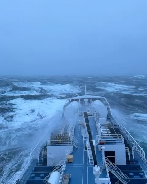 Ramanda south of Norway.
📷Capt. Marcus Carlsson