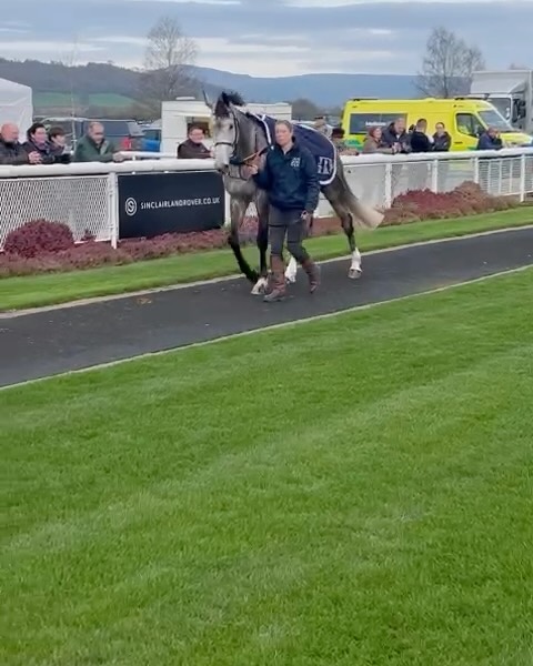 🥇Dromlac Jury🥇 All credit and thanks to @bexybee89 for getting this quirky but beautiful fillies to where she is today. Plenty of cake baking 😉 but worth the hard work. A great result for @dahlbury. Good job team 🙌👏🙌 #teamsymonds #tomsymondsracing #herefordshire #thoroughbredsofinstagram #nationalhuntracehorses #goffsuk #winner #dahlbury #gundoggin