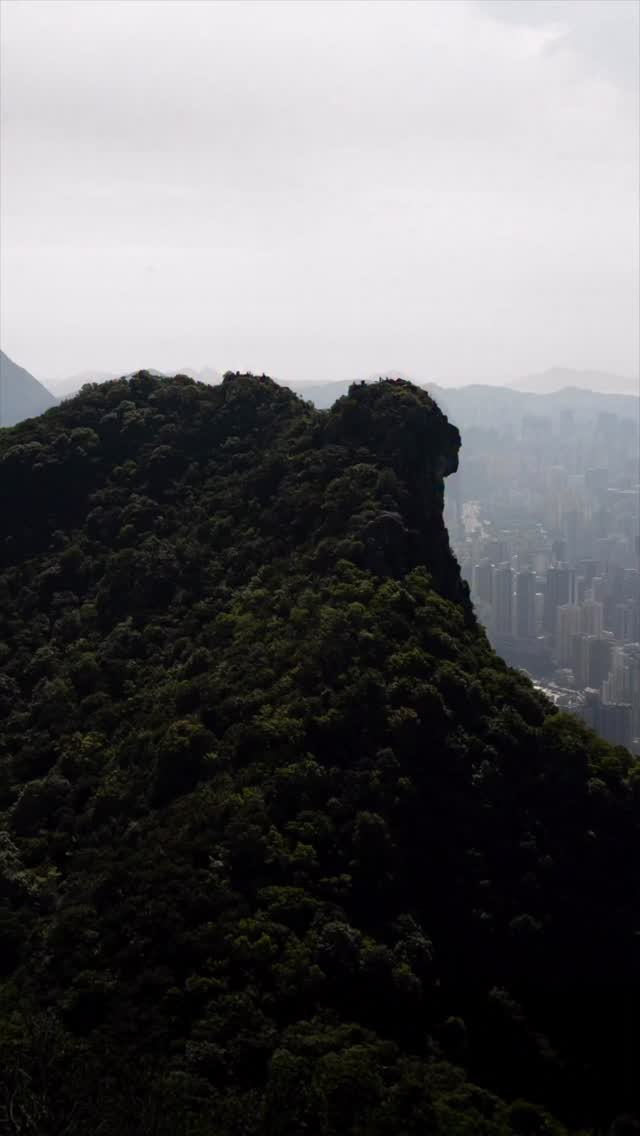 Hong Kong in motion 🇭🇰 #hongkong #highsandlows