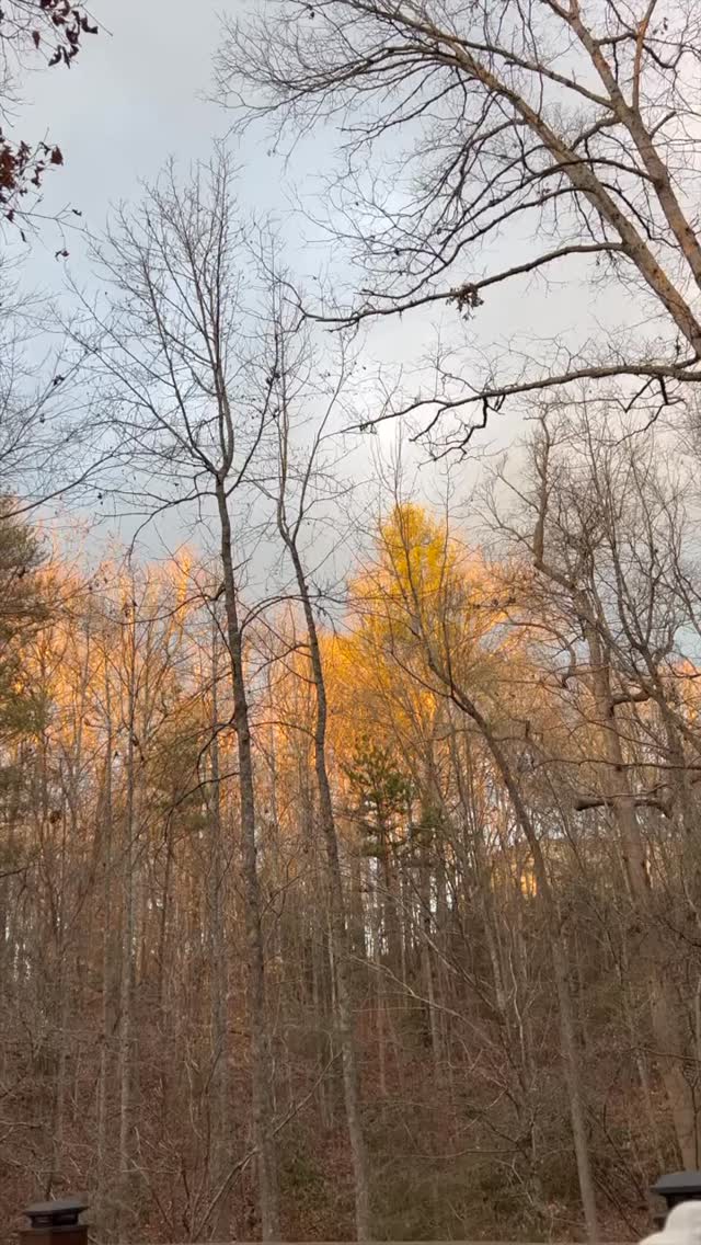 Sonhando com dar um escapadinha de inverno nas montanhas? ❄️
Esta charmosa cidade no norte da Geórgia oferece vistas deslumbrantes, um clima aconchegante e ótimos vinhos.
Blue Ridge cresceu bastante na última década, mas ainda mantém seu charme de cidade pequena, especialmente durante as festas de fim de ano.
Com o rio Toccoa cortando a cidade, você encontrará vistas deslumbrantes com paisagens montanhosas, perfeitas para um passeio panorâmico de carro.
Não perca a icônica ponte suspensa, as vinícolas locais, o Mercier Orchards para colher maçãs e as cachoeiras e trilhas próximas ao longo da Trilha dos Apalaches.
Nossas paradas favoritas são o Toccoa River Restaurant ou o Burra Burra on the River para uma refeição com vista – e, se voce tiver sorte, um ou dois dias de neve.
Blue Ridge é o tipo de lugar onde você realmente se desconecta e relaxa.
Quer meu guia completo pr visitar Blue Ridge?
So comentar “BR” e eu te envio.🤍
🇺🇸🇺🇸🇺🇸
Dreaming of a winter mountain escape? ❄️
This charming North Georgia town has the views, cozy vibes, and great wine.
Blue Ridge has grown a lot over the last decade, but it still keeps its small-town charm—especially during the holidays.
With the Toccoa River running through town, you’ll find stunning water views backed by mountain scenery, perfect for a scenic drive.
Don’t miss the iconic swinging bridge, local wineries, Mercier Orchards for apple picking, and nearby waterfalls and hikes along the Appalachian Trail.
Our go-to stops are Toccoa River Restaurant or Burra Burra on the River for a meal with a view—and if you’re lucky, a snow day or two.
Blue Ridge is the kind of place where you truly unplug and unwind.
Want my full Blue Ridge guide?
Comment “BR” and I’ll send it your way 🤍
#blueridge #georgia
Have you visited Blue Ridge?
