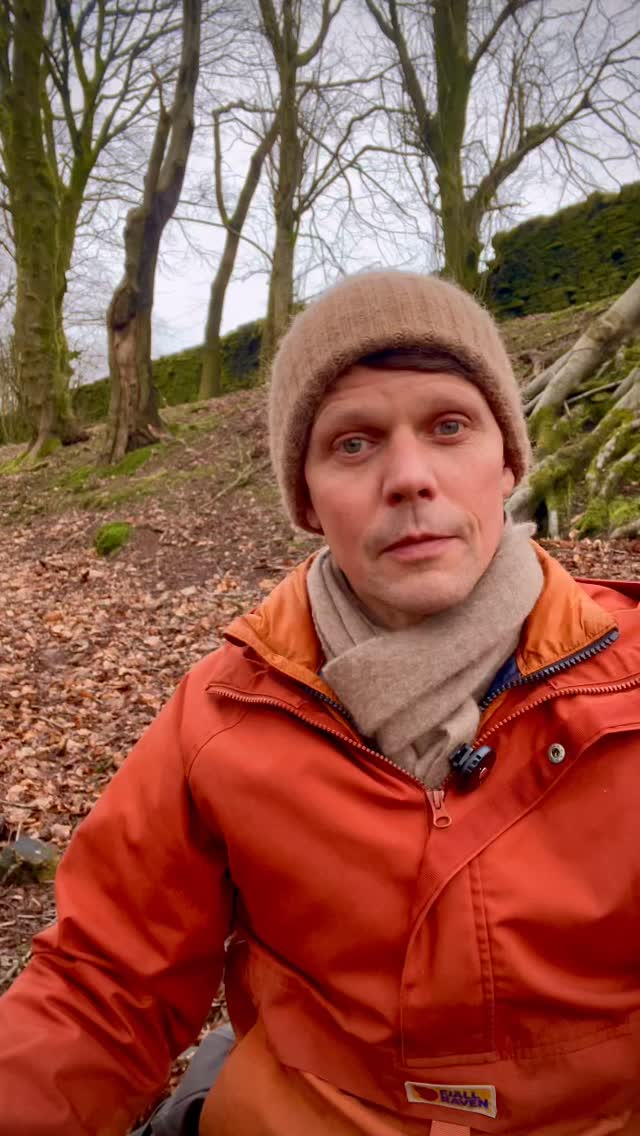 The Story Is Here: The Nightingale
The tale has arrived.
An emperor, a living bird whose song can move the soul, and a glittering mechanical replacement that promises perfection — until the true cost is revealed.
The Nightingale is a timeless story about what happens when we choose imitation over life, possession over presence, and forget the quiet power of what is real.
Told orally, as stories were always meant to be — to be listened to, felt, and carried with us.
#thenightingale #oralstorytelling #dannyenglishstories #naturefolk #storytelling