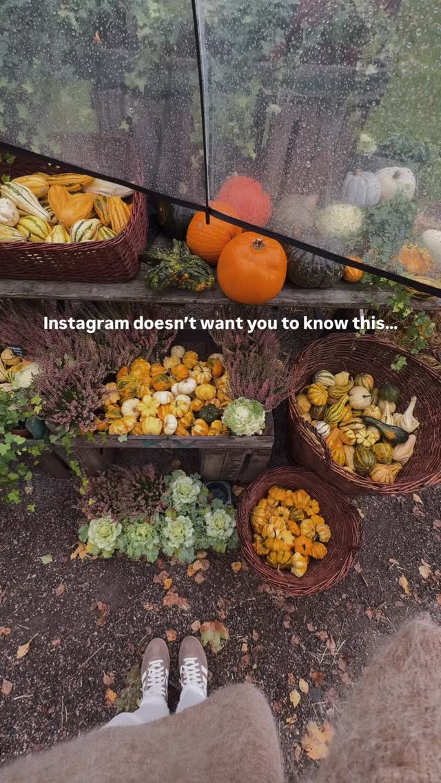 Okay so Instagram’s algorithm isn’t actually against you...
It’s just designed to keep people scrolling. Here’s the cheat code:
→ First 3 seconds = everything
→ Watch time > likes (always)
→ Shares are 10x more valuable than saves
→ Comments with 4+ words boost you harder
→ Posting when your audience is active > posting at “peak times”
The algorithm rewards ONE thing: keeping users on the app.
So stop making “aesthetic” content and start making “can’t scroll away” content.
You’re welcome 🎯
What’s your biggest algorithm struggle? Drop it below ⬇️
#instagramalgorithm #reelstips #contentcreator #viralhacks #viralreels