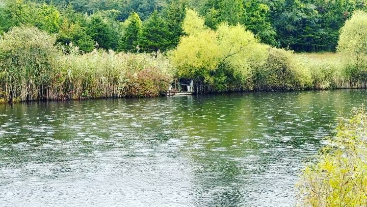 . 💫💦💫Meditations, contemplations, revelations on a rainy day. Matter revealed as vibrant undulations of luminous energy, the pulse that is alive in every breath. Raindrops on water in the Autumn Equinox Arc here @rhinevalleyfarm . Watch to the end 🌟I am so grateful for the Gift of continued apprenticeship with and to our Mother Earth 💫🌎💫as we deepen into the experience that we are sacred manifestations of Gaia’s Vibrant Life force. She continues to reveal her wisdom. Sending prayers and well wishes of balance and well being for all Life in this Autumn Equinox. Love, Sarah.:.
#MotherEarth #AutumnEquinox #WaterWisdom #LivingWaters #Shunyata #GaiaCodex #Meditation #Tao