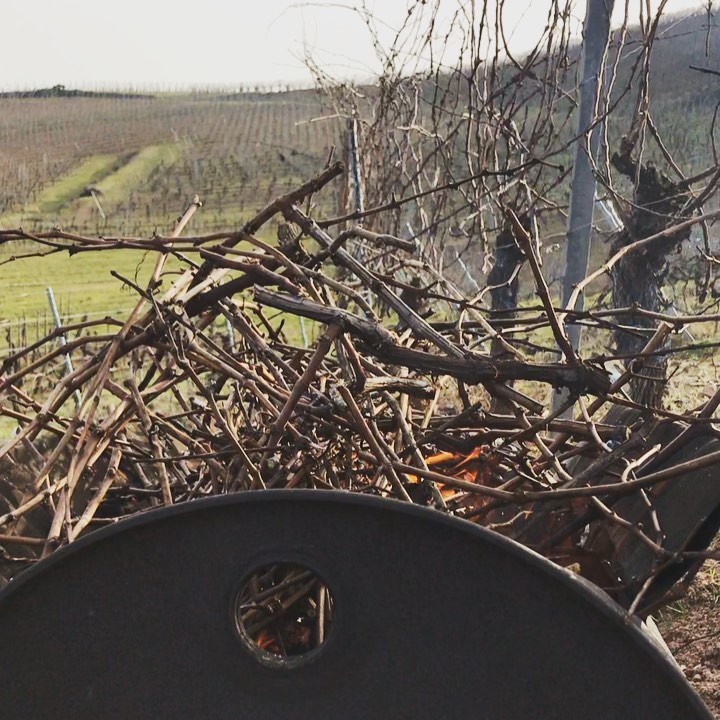 Belle journée de brûlage des bois de taille, dans nos terrasses hinterburg 🔥
.
.
.
.
.
#alsace #drinkalsace #winelover #wine #vineyard #vigne