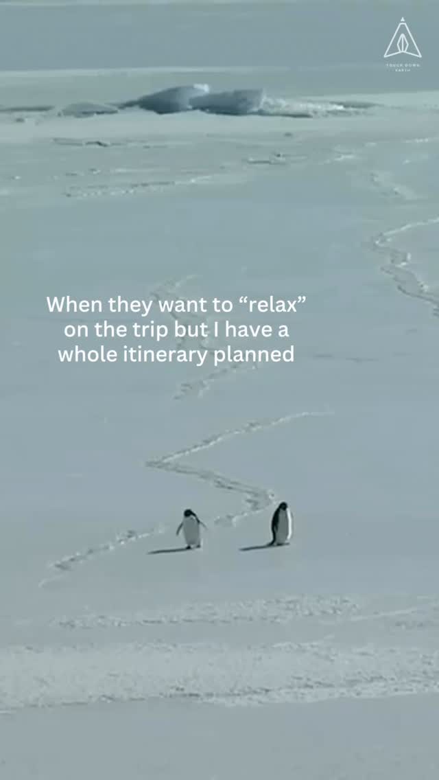 When “relaxing” isn’t on your itinerary. 🌍💼
#travel #viral #trending #viralpenguin
