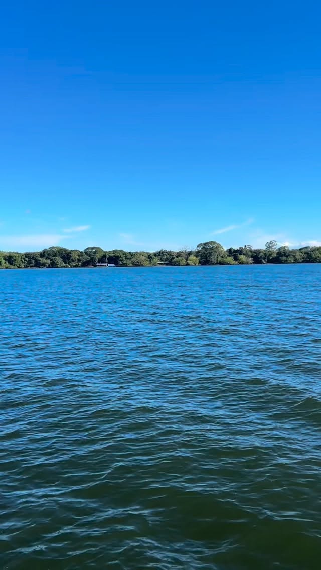 Ometepe, you have a little piece of our hearts🫶 these snippets barely do justice to this magical week. @mailisedore I love you and will always be grateful for how adventurous you were to book a plane ticket with two days notice and a pending passport renewal ⭐️