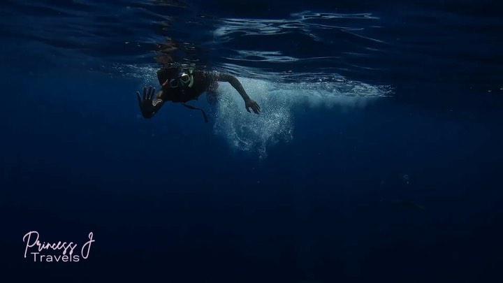 Every vacation is meticulously planned to be an unforgettable experience. ✨ We also challenge all of our clients to do an activity that they’ve NEVER done before. 😱❤️🔥🌎
@im_ab23 understood the assignment and went swimming with the sharks for the first time. Thank you for sending a video in to show all of your pals back home! 💪🏾🦈
#pjt #pjttravels #bucketlistadventures #swimmingwithsharks #snorkeling #maldives #bahamas #blackmentravel #solotravels #solotravelingisfun #bookpjt #hey #luxuryholiday #luxurytraveller #luxurytrips #explorepage #explore #wanderlust #sharktank #travelgram #deepbluesea #deepblue #blacktravelfeed #blacktravelmovement #blackmedia #vacation #humpday #humpdayvibes #melanin #princessjtravels