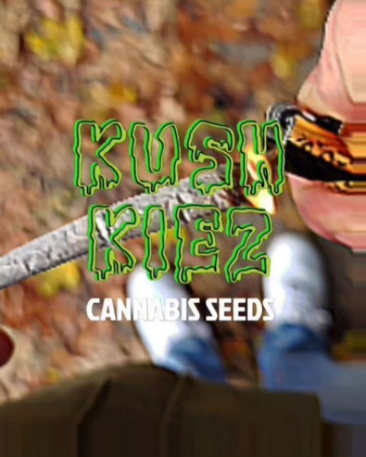ππ π Herbst π π π
---> www.KushKiez.com <---