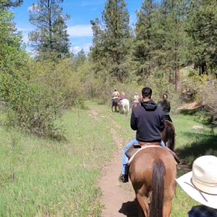 Come join us. @majesticpagosa ! Beautiful views, friendly people, have the time of your life.
Serene trailride, mountains, wildlife.