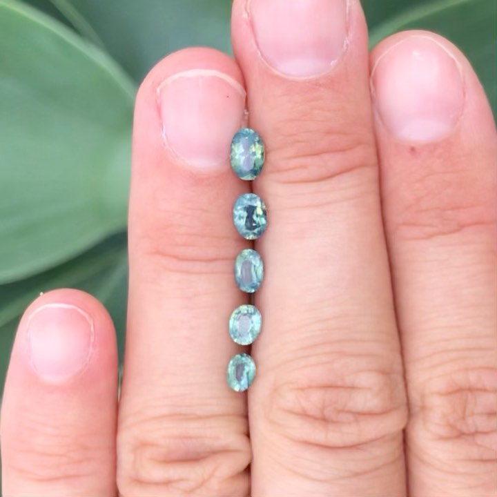 🍃 Une reprise en douceur avec cette belle sélection de saphirs d’Auvergne taille ovales. 🍃 Naturels, chauffés, non traités. Prix sur demande.
1 : Saphir d’Auvergne taille ovale de 0,58ct | dimensions : 3,95 x 5,77mm
2 : Saphir d’Auvergne taille ovale de 0,50ct | dimensions : 3,94 x 5,30
3 : Saphir d’Auvergne taille ovale de 0,37ct | dimensions : 3,81 x 4,65mm
4 : Saphir d’Auvergne taille ovale de 0,29ct | dimensions : 3,49 x 4,37mm
5 : Saphir d’Auvergne taille ovale de 0,20ct | dimensions : 2,99 x 4,17mm #saphirauvergne #saphirauvergne #frenchsapphire #saphirfrançais #naturalgem #naturalgemstone #pierresethiques #gemme #gemmes #saphir #sapphire #fairmined #ethicalgemstones #ethicalgems #precisioncut #precisioncutting #faceting #facetron #ethicaljewelry #naturalsapphire #unheatedsapphire #minetomarket #teal #tealsapphire #saphirteal #gemstonetraceability #exceptionalgemstones #hautejoaillerie