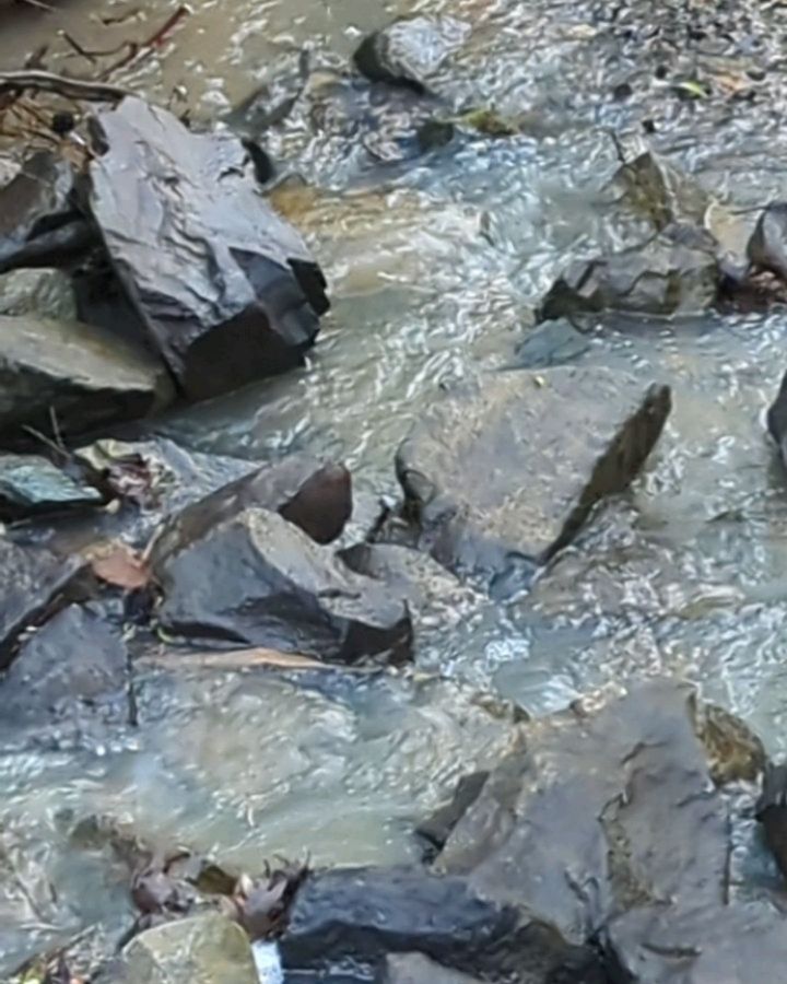 Today I ended the work day with a trip to the park.
I just felt like I needed to get out after a lightning and thunderstormy day indoors.
I wanted to post this while I was listening to the tranquility of the water. I was just to nervous about dropping my phone in the water. It brought me some peace I hope you like it too, enjoy.