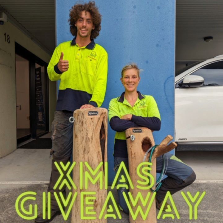 XMAS GIVEAWAY TIME! 🎁💝🎄🧑🏼🎄 Santa has delivered us two nesting boxes which are handmade by our friends at Habitec to giveaway. These boxes are a token of our sincere appreciation to our customers and future customers of She Trees.
Thank you for your ongoing support!
How to win a nesting box:
BOX 1: We will choose a random existing customer from 2023 who has left us a Google or Facebook review and hang a nesting box at your property
BOX 2: We will choose any new customer from January 2024 who leaves us an online review and hang a nesting box at your property.
These habitat boxes become home to small birds (like lorikeets, pale headed rosellas) and small mammals (like glider possums). 🦜🐥🐦🐒🐾
If there's nothing living in the boxes after a year, we will come back and move them to another location. 🌳🐿️🧗🏼
If you would like a quote for any tree pruning or tree removal please call of email She Trees for a free quote 😊
Happy Christmas and best wishes to all for 2024 from She Trees!
