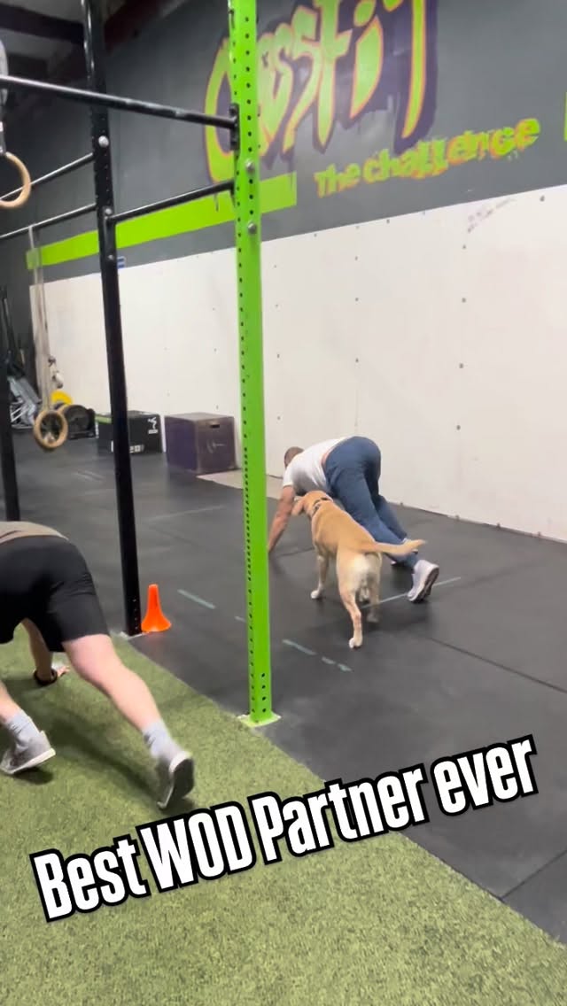 We ❤️ our pups 🐶!!