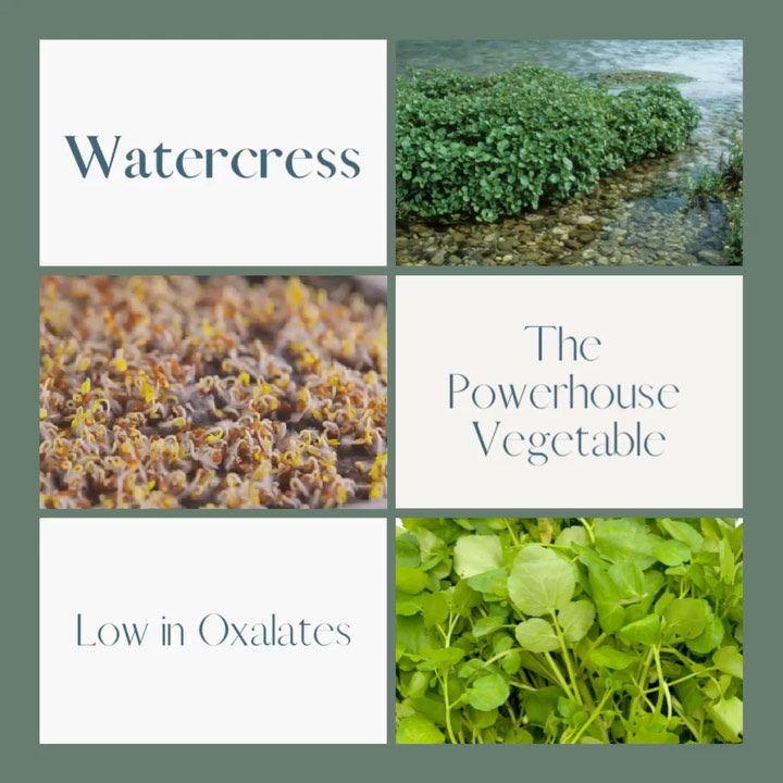 Watercress … Food is my medicine and watercress is one of them 🌱
Watercress is hands down a delightful leafy green with over 18 essential vitamins and minerals, making it one of the most nutrient dense foods. Another bonus is it’s very low in oxalates! We can leach some of the oxalate content by soaking and cooking those foods before consumption. Another great reason you should consult with a holistic nutritionist or health professional to guide your support for a rotational diet to get a mix of the rainbow fruits and vegetables.
The health-promoting effects of watercress have been demonstrated by in vitro and in vivo clinical studies resulting in contributions to our holistic health. Watercress is found to exhibit antioxidant, antiinflammatory, chemopreventive, chemotherapeutic, cardioprotective, and anticholesterolemic properties. Therefore, regular consumption of watercress may help reach the recommended dietary allowances of certain micronutrients and may reduce your need for extra supplementation.
Be well and enjoy the recipe!
Nutritional Facts:
Serving size 3 ounces
Calories per serving 27
Carbs 4.7 g
Fat .06 g
Fiber 0.9 g
Total Sugar 3.7 g
Protein 2.2 g
Cholesterol 0
Sodium 12 mg
#functionalmedicine #healthcoach #holistichealth
#healthgoals #healing #healtheducation #holisticnutrition
#holisticpractitioner #liveyourtruestself #inspiration
#mentalhealth #mentalhealthamerica #resilience
#wellbeing #wellnesscoaching #wellnessjourney #wholefoodplantbased #functionalfoods