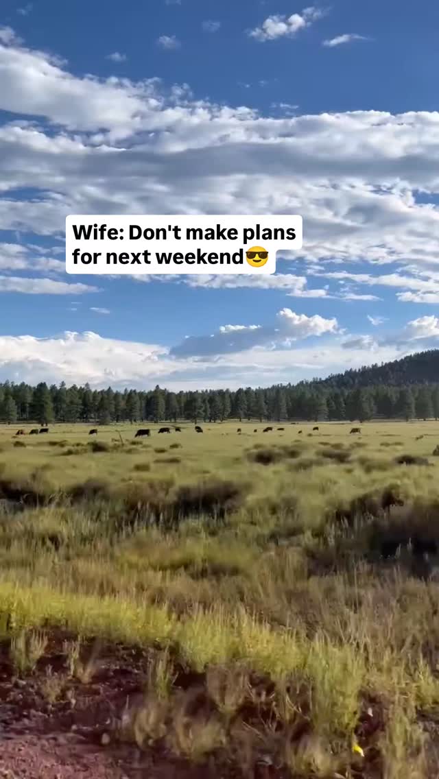 Tag who you would bringš„ What if the best gift you could give⦠fit in a weekend bag? š
Surprise them with a getaway theyāll never see coming. āØ
At Backland, planning theĀ perfectĀ escape is effortlessābecause everything is already taken care of.
Private forest suites.
Chef-crafted meals.
Quiet mornings, long walks, and unhurried conversations.
No reservations to juggle.
No decisions to make.
Just you two, fully present.
Our all-inclusive experience makes it easy to be the hero of the storyāthe one who planned something unforgettable without the stress.šļøšæ
Ā Because the most meaningful surprises arenāt things.
Theyāre moments you share.Ā Ā š
Comment GETAWAY and we'll show you how to book!
#romanticgetaway #surprisepartner #suprisespouse #marriage #travel