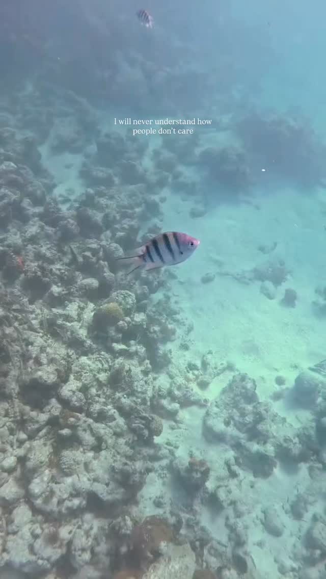 Like so many of us, the recent news has been sitting heavy with me 💔
I will never understand why anyone would want to destroy this beautiful planet
I will never understand how people don’t care
The forests that breathe for us and store vast amounts of carbon
The oceans that regulate our climate and hold so much life
The animals and beings that share this Earth, who have just as much right to live and thrive as we do
This is our home. And our home is worth protecting
I’m so grateful for everyone out there doing incredible work to protect, heal, and uplift our world
We must keep going. We must keep fighting for what we love! 🌎💚