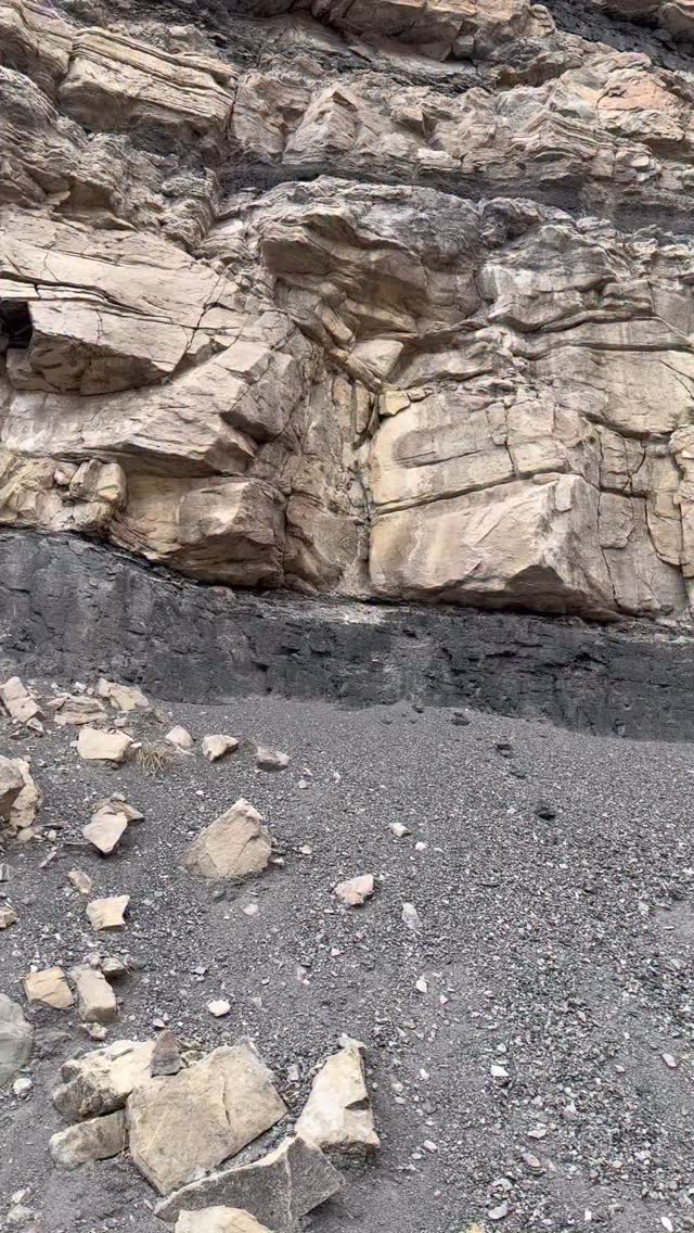 A forest turned fuel 😁
#earthscience #theneevproject #geology #coal #energy