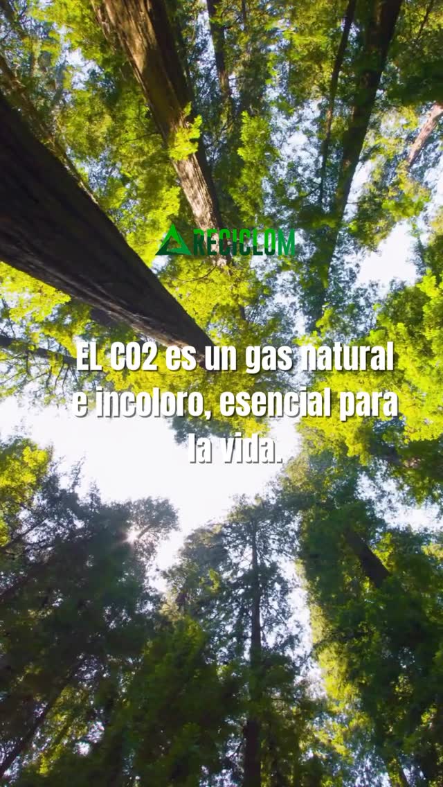 ¿Cómo podemos disminuir las emisiones de CO₂? ♻️🌍
La reducción de emisiones comienza tanto en las personas como en las empresas, a través de acciones concretas y responsables.
👤 A nivel individual:
Optar por transporte sustentable, reducir el consumo energético, reciclar correctamente, consumir de manera responsable, y preferir productos reutilizables o locales ayuda a disminuir la huella de carbono diaria. 🚲💡♻️
🏢 A nivel empresarial:
Una gestión eficiente de residuos, optar por energías limpias, la economía circular y procesos trazables permiten reducir emisiones y generar un impacto ambiental positivo. 🌱📊
En Reciclom impulsamos soluciones que contribuyen a un futuro más sostenible. Menos residuos, menos CO₂, más compromiso con el planeta. 💚
♻️🚛🌱
#huelladecarbono #gestiónderesiduos
#reciclaje #economíacircular #compromisoambiental
