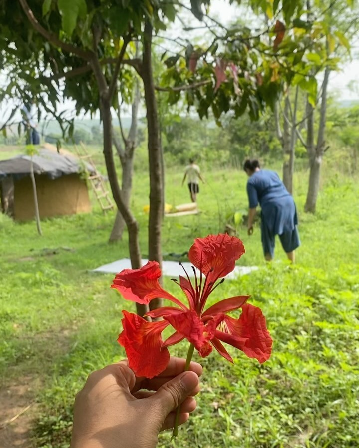 Day - 4 ✨
.
.
.
#bio-happiness #moodforest #sehatvan #wellness #nature #forestfasting #longevity #health #happiness