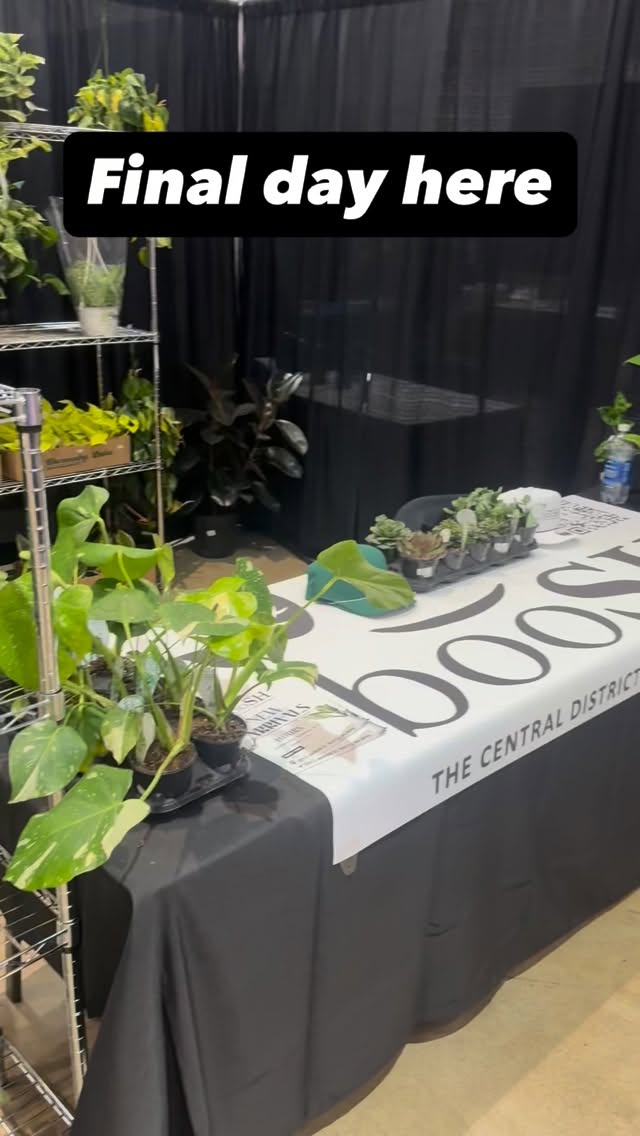 Last day here at the Tacoma home and garden show.