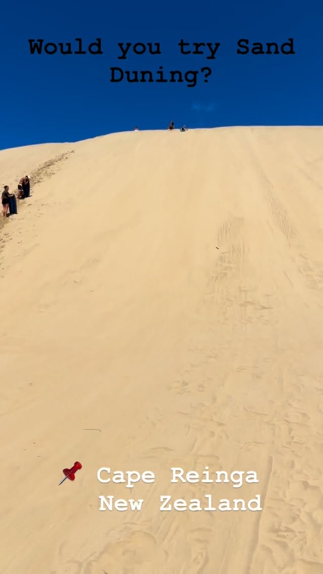 #nz #nztourism #newzealand #nzmustdo #privateguide #nztour #capereinga #giantsanddunes #sanddunes #sand #fun #explorenz #summer