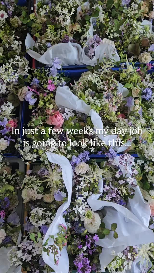 As I have a full on desk day full of planning and accounts.. it feels all rather disconnected from the other side of my job... the doing.
So a little reminder.... that so mych beautybis yet to come.. and a lot of scrubbing buckets..