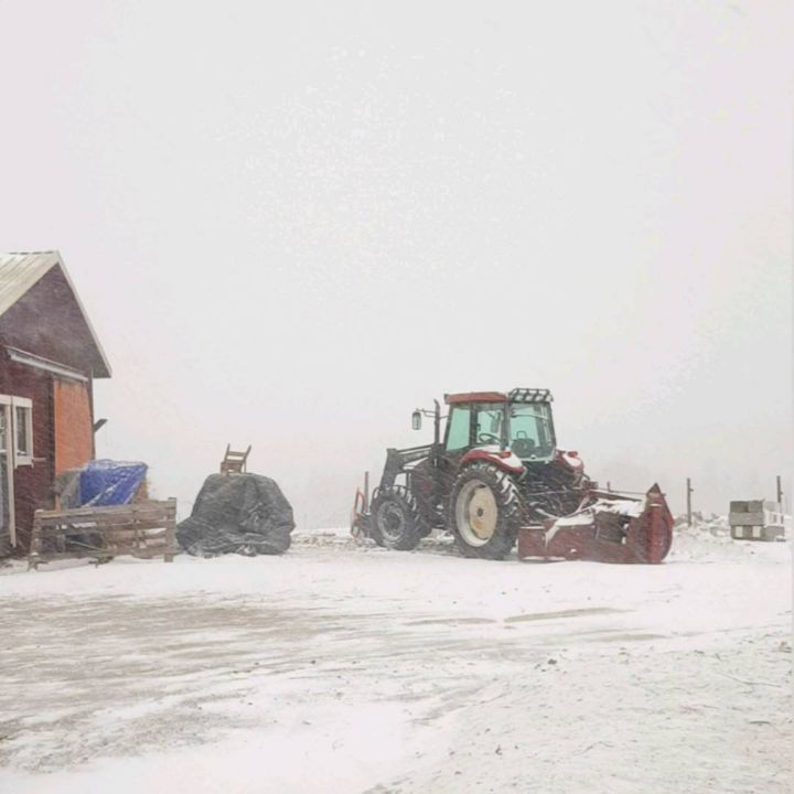 The weather today...but do we mind😁 Viuhti at least doesn't🥰
#farmlife #farmcat #catdays #finnishspring #finnishweather #cosyhome