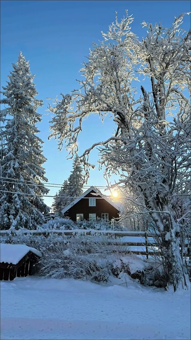Vinterferie på Kleivstua.